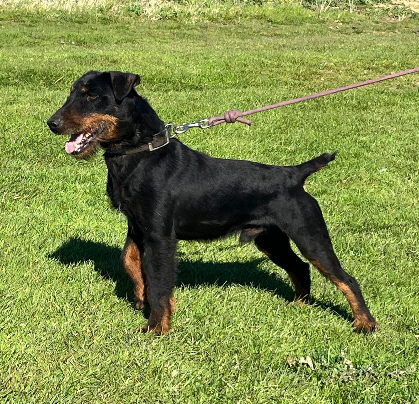 Sniper (Sans Affixe)